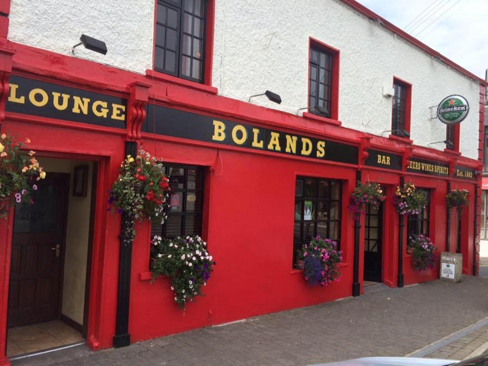 Bolands Self Catering Accommodation Hacketstown Exterior foto